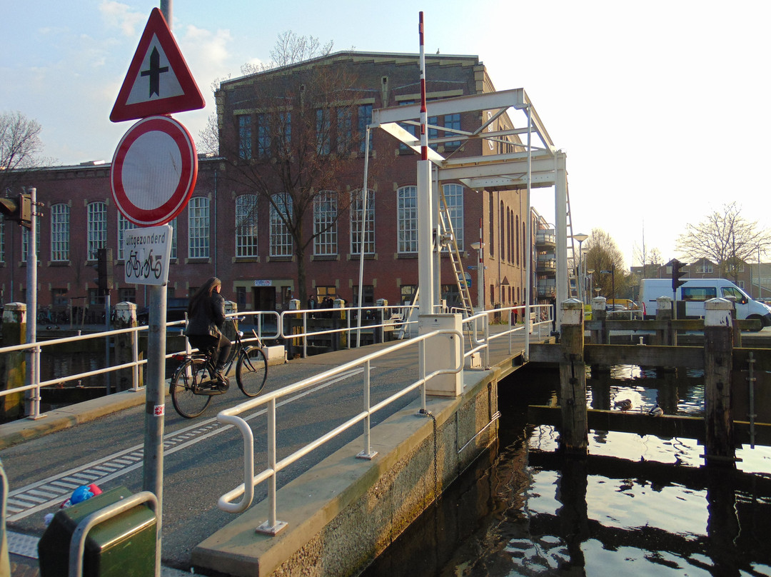 Red Lion Windmill (Molen De Roode Leeuw)-高德必去景点