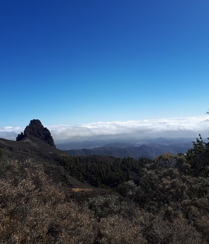 Caldera de Bandama景点图片