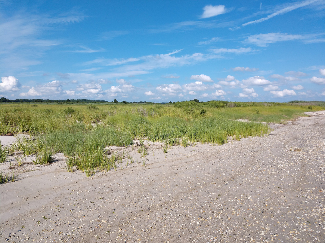 Pickering Beach景点图片