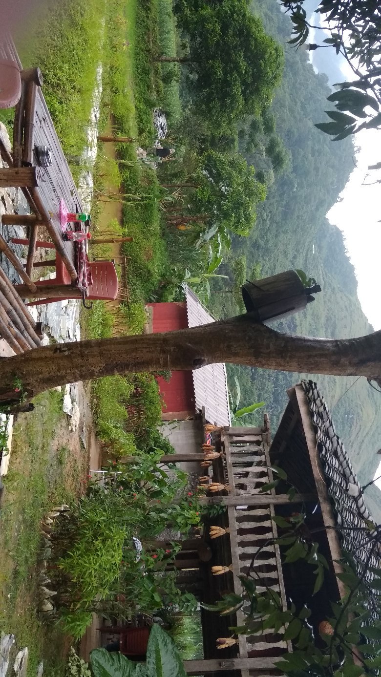 BB Garden Homestay-官方