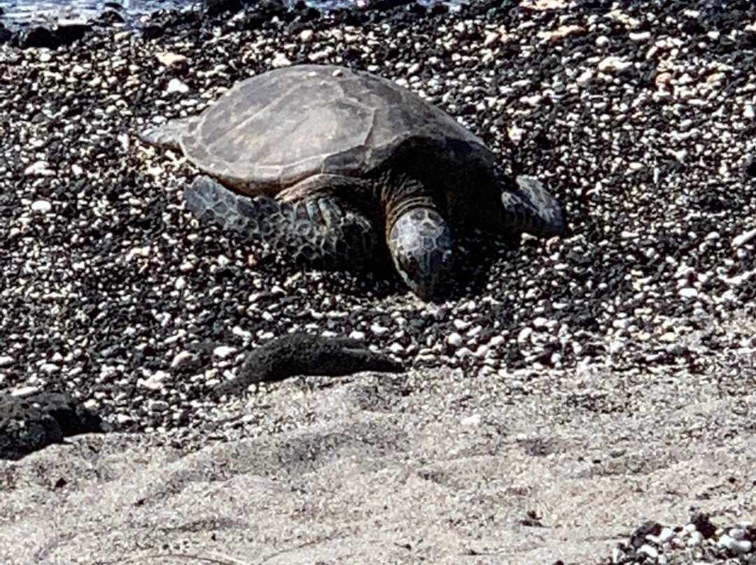 Holoholokai海滩公园-夏威夷大岛必去景点