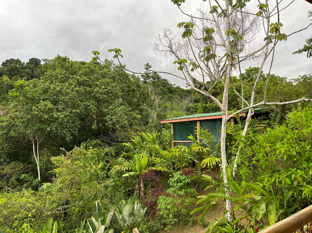 Madreselva Jungle Bungalows