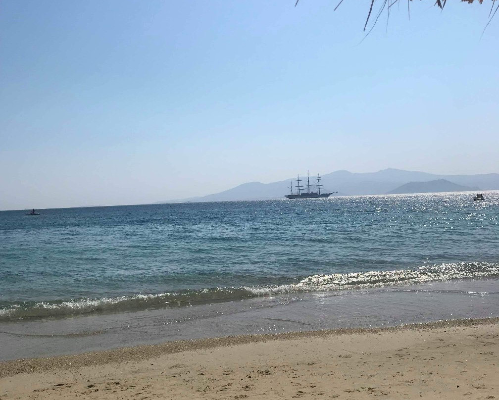 Agia Anna Beach景点图片