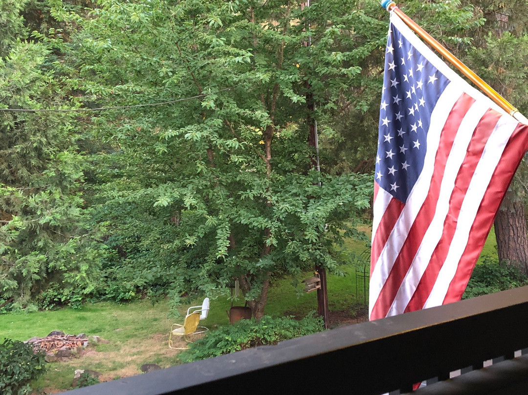 Motel Del Rogue主图