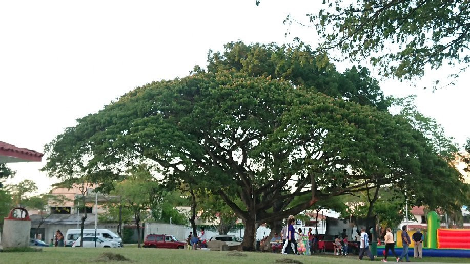 Parque La Choca景点图片