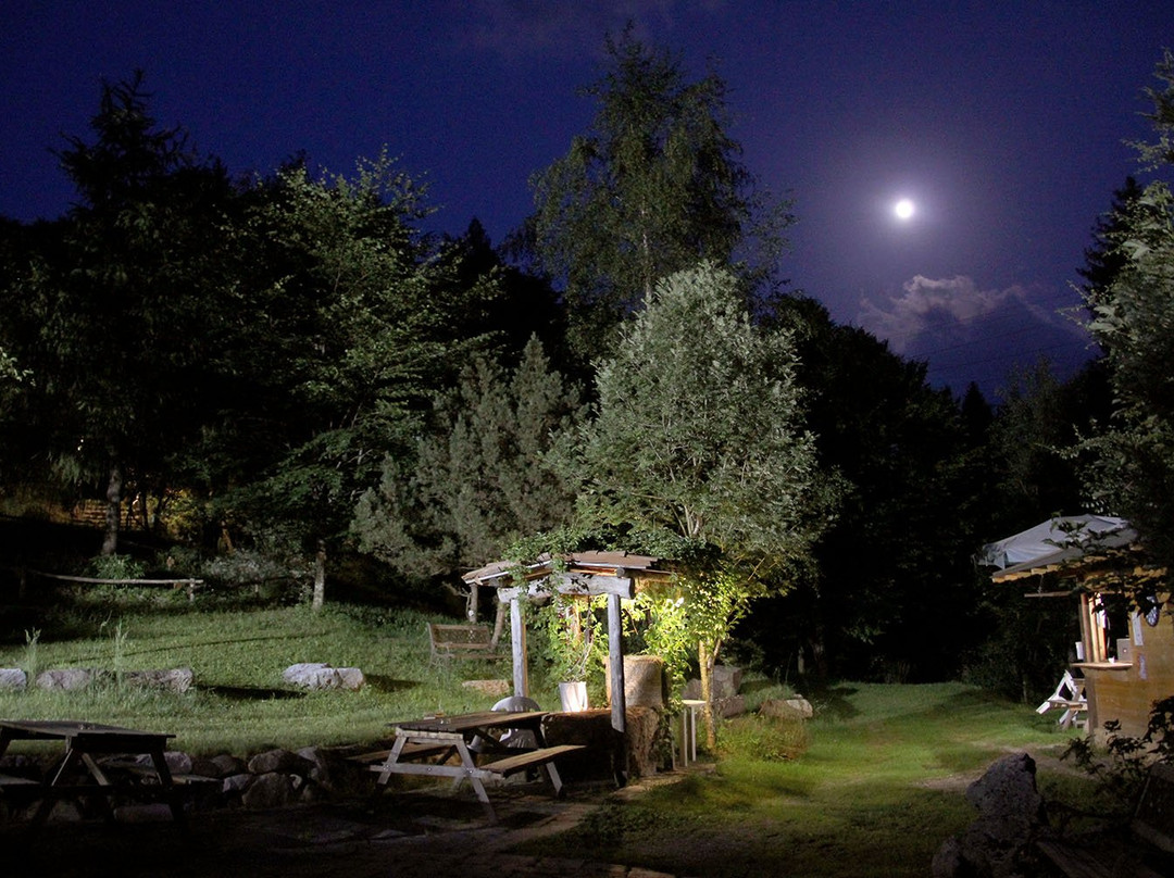 Arboreto Alpino Gleno-Vilminore di Scalve必去景点