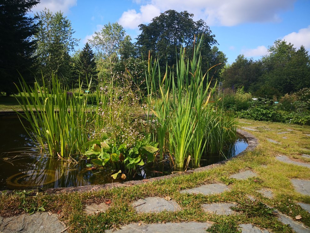 Botanical Garden, University of Oulu景点图片
