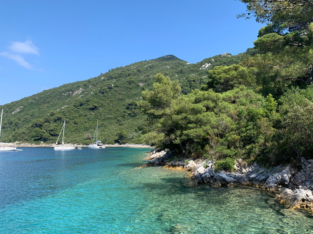 利明顿旅游攻略图片