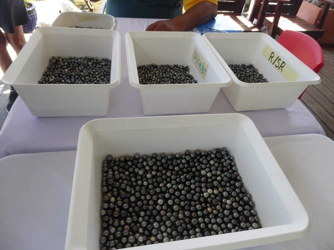 Love Here Pearl Farm-Patio必去景点