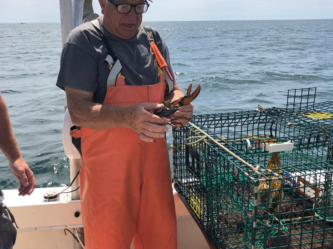 Sunrise Adventure Charters and Lobster Tours-汉普顿必去景点