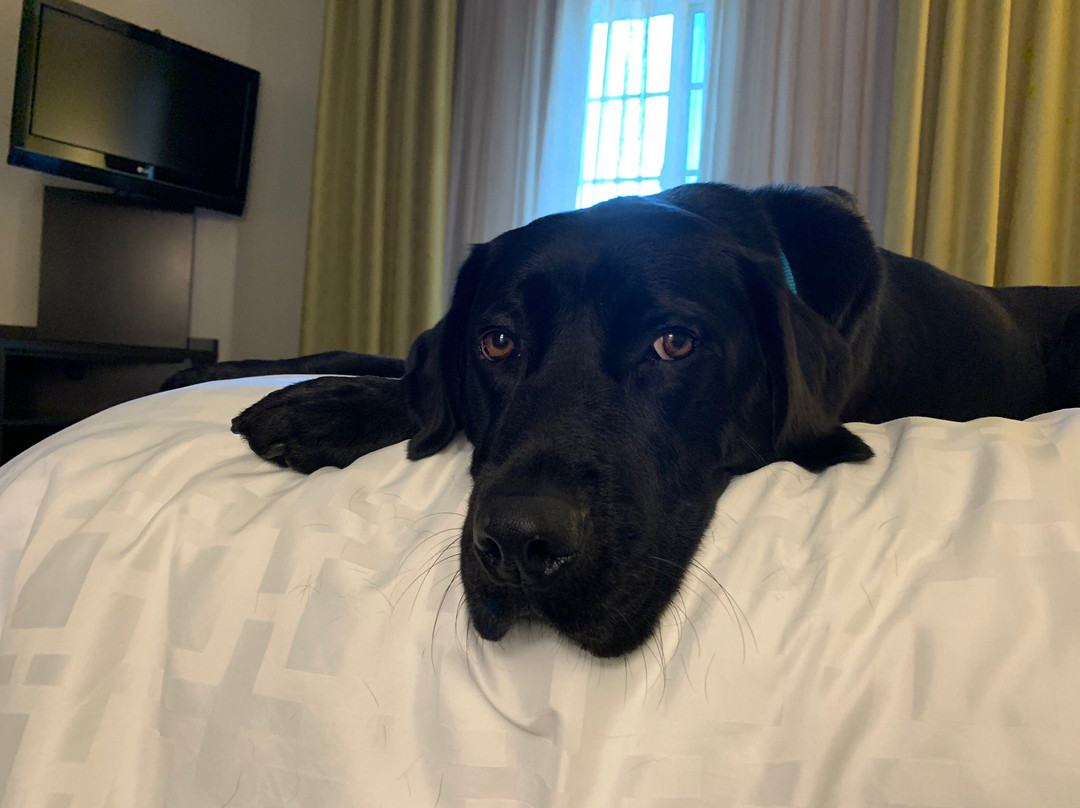 Townhouse OAK Brij Inn主图