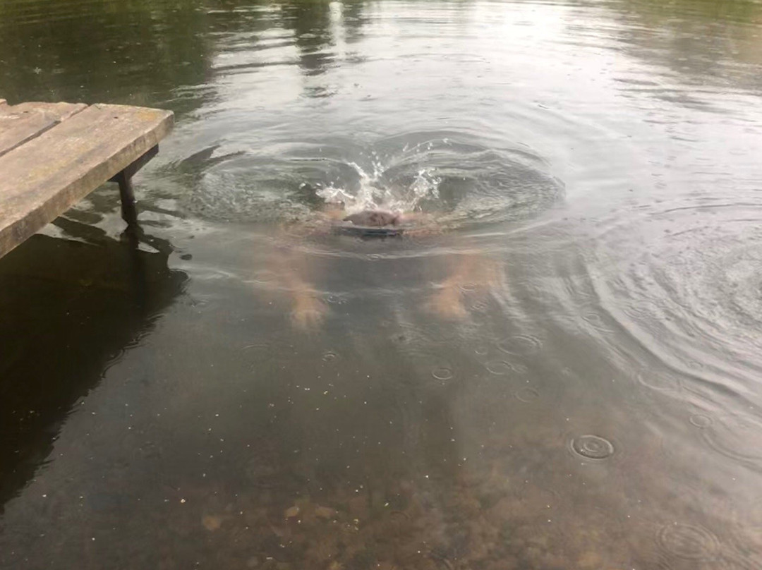 Ecofarm Teterin-Ryzhevo必去景点