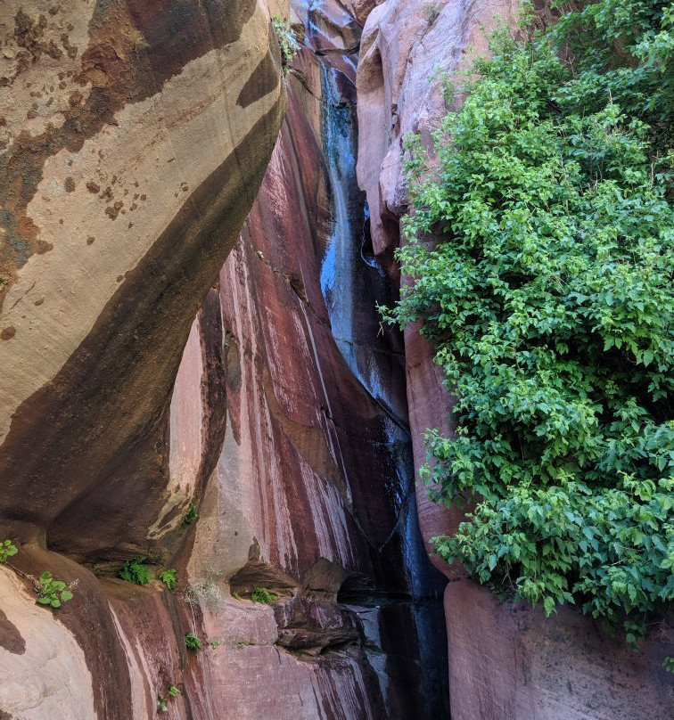 Taylor Creek-锡安国家公园必去景点