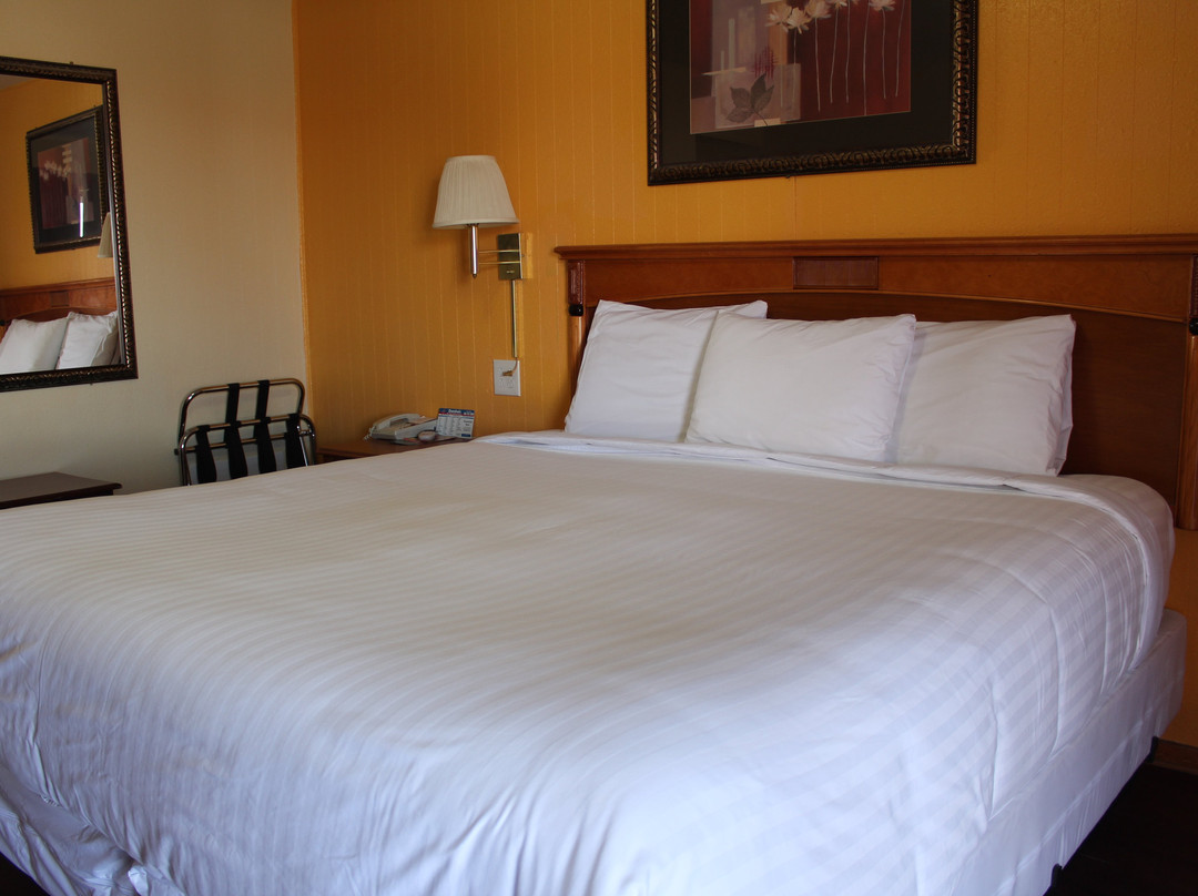 Thunderbird Lodge Motel主图