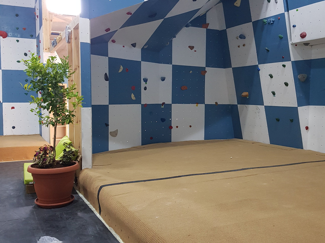 ShachmaTipus-Kiryat Malakhi必去景点