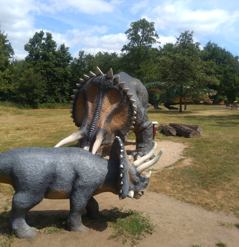 Zoo Lubin - Ogród Zoologiczny W Lubinie景点图片