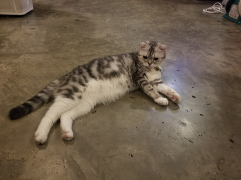 考珊素尼拓旅馆主图