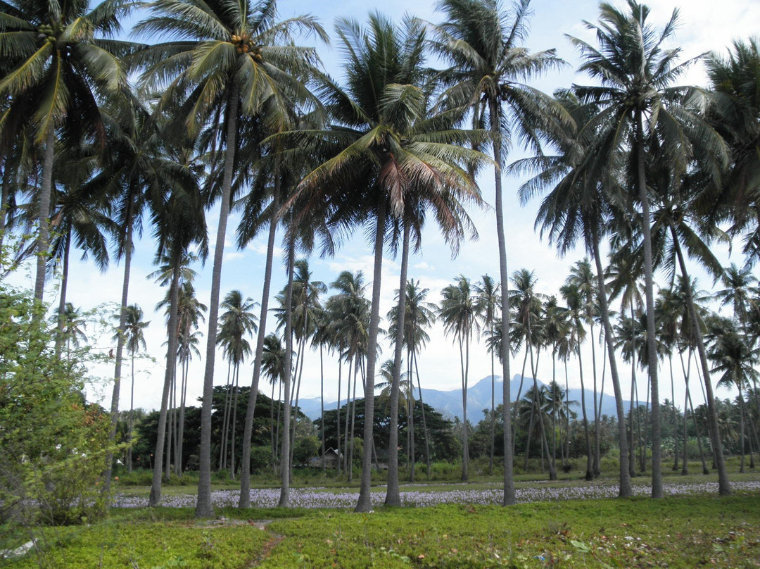 塔拉塔度假村主图