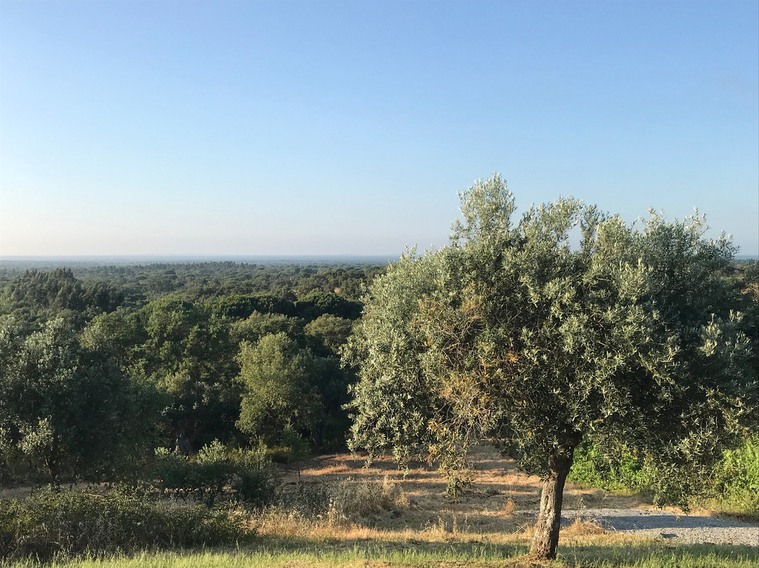 Serenada Enoturismo主图