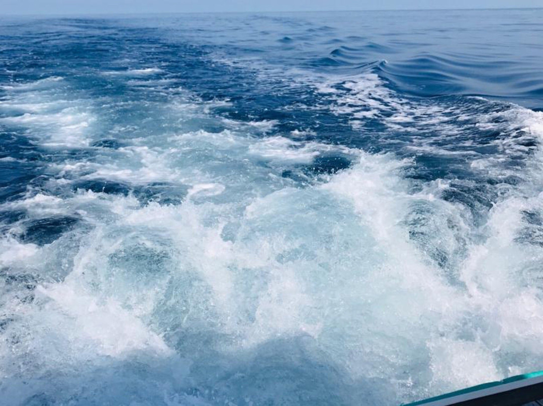 Nautica Marbella-巴努斯港必去景点