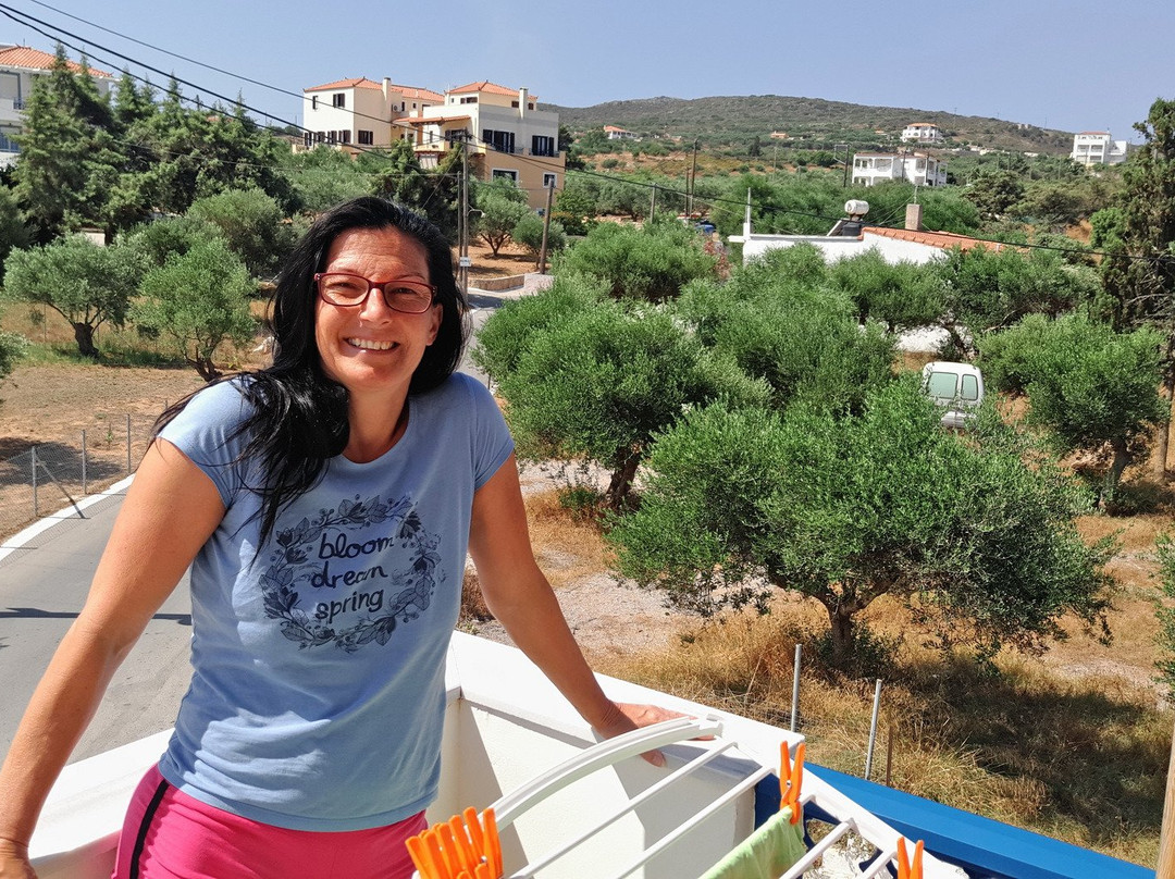 Studio Nikolos主图