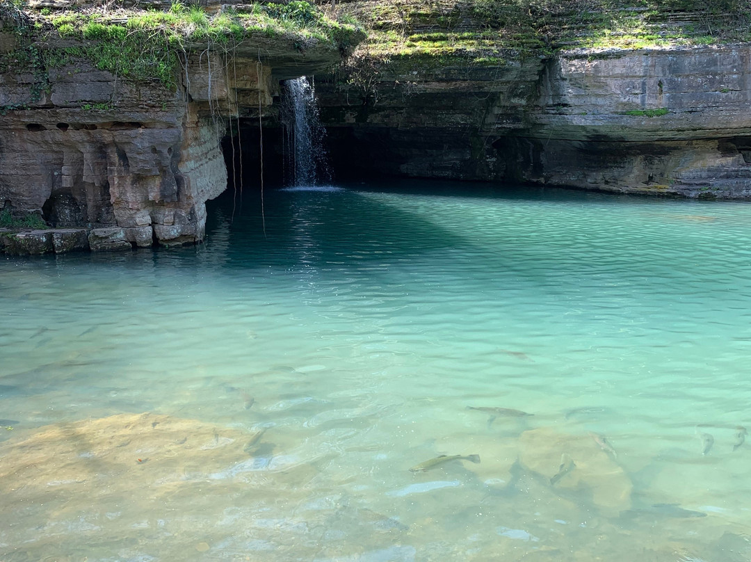 Dogwood Canyon Nature Park-Lampe必去景点