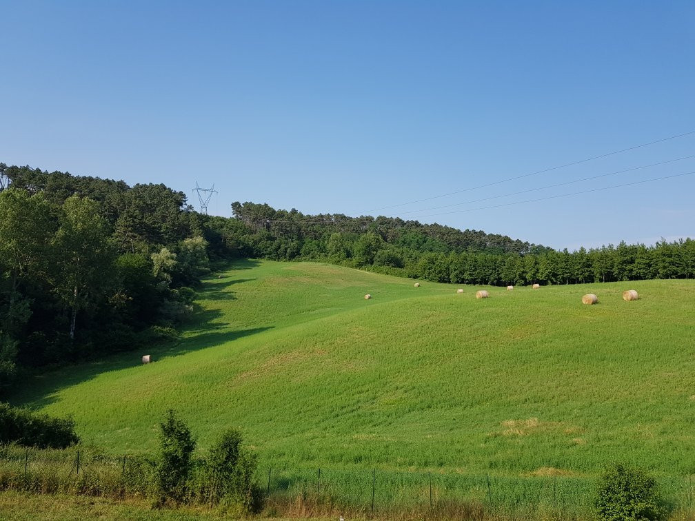 Casale di Santamettole主图