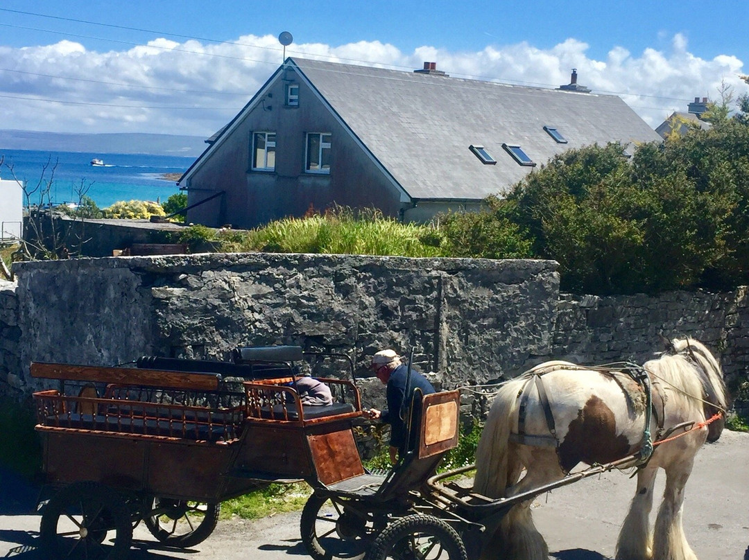 Ireland Wild Escapes景点图片