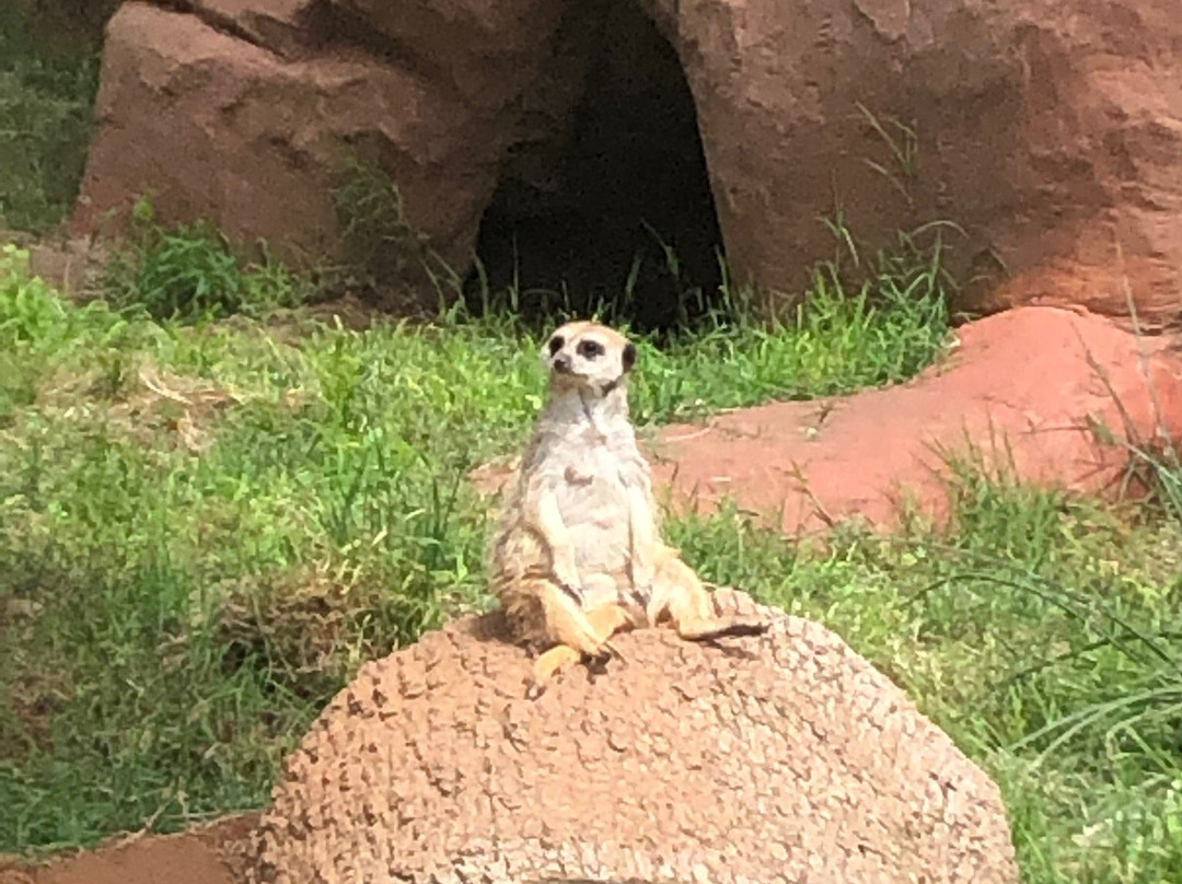 Oklahoma City Zoo and Botanical Garden景点图片