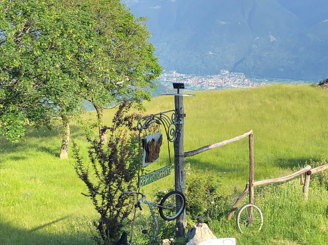 Baita Dal Vikingo