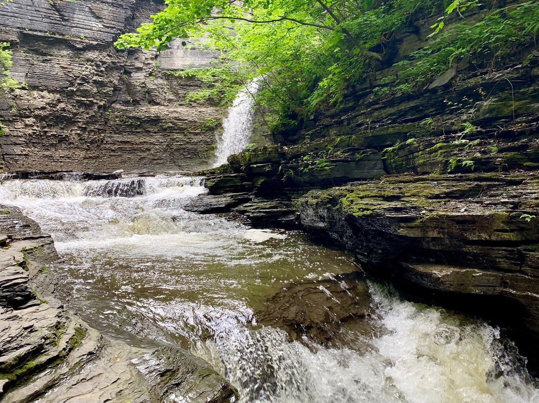 Havana Glen Park景点图片