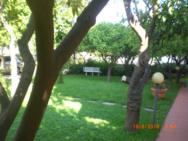 Orange Tree Villa Hotel主图