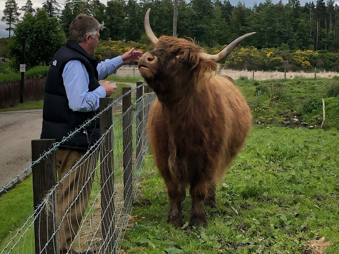 Speyside Whisky Tours-Glenlivet必去景点