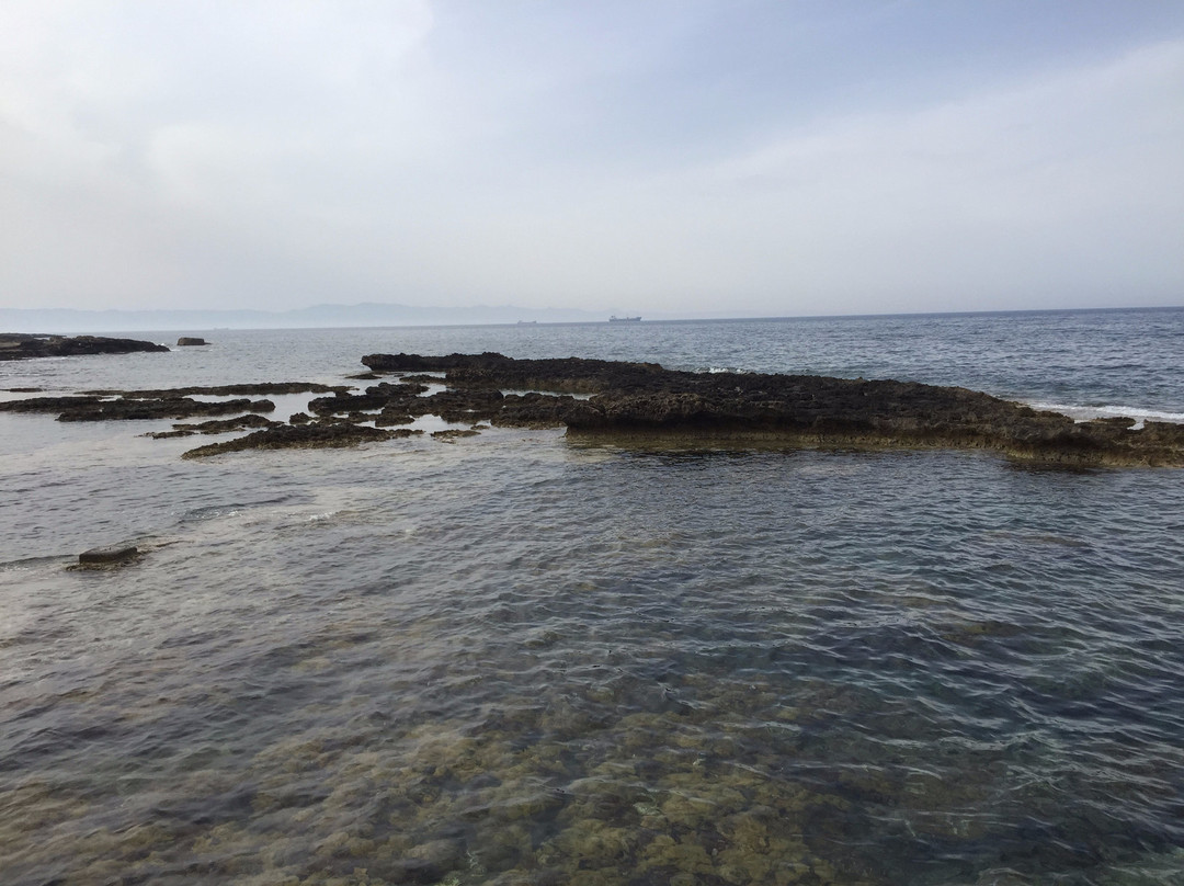 Arkin Palm Beach Hotel主图