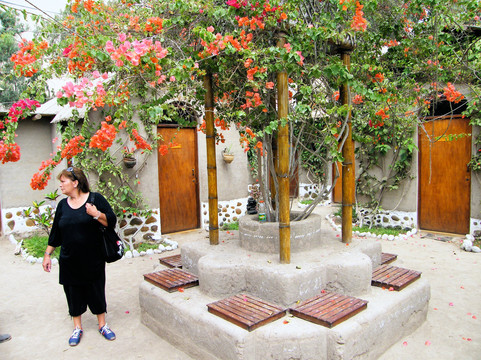 Eco Truly Park-Aucallama必去景点