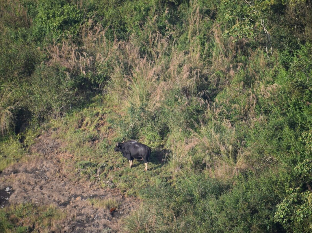 Tabernacle Resort主图