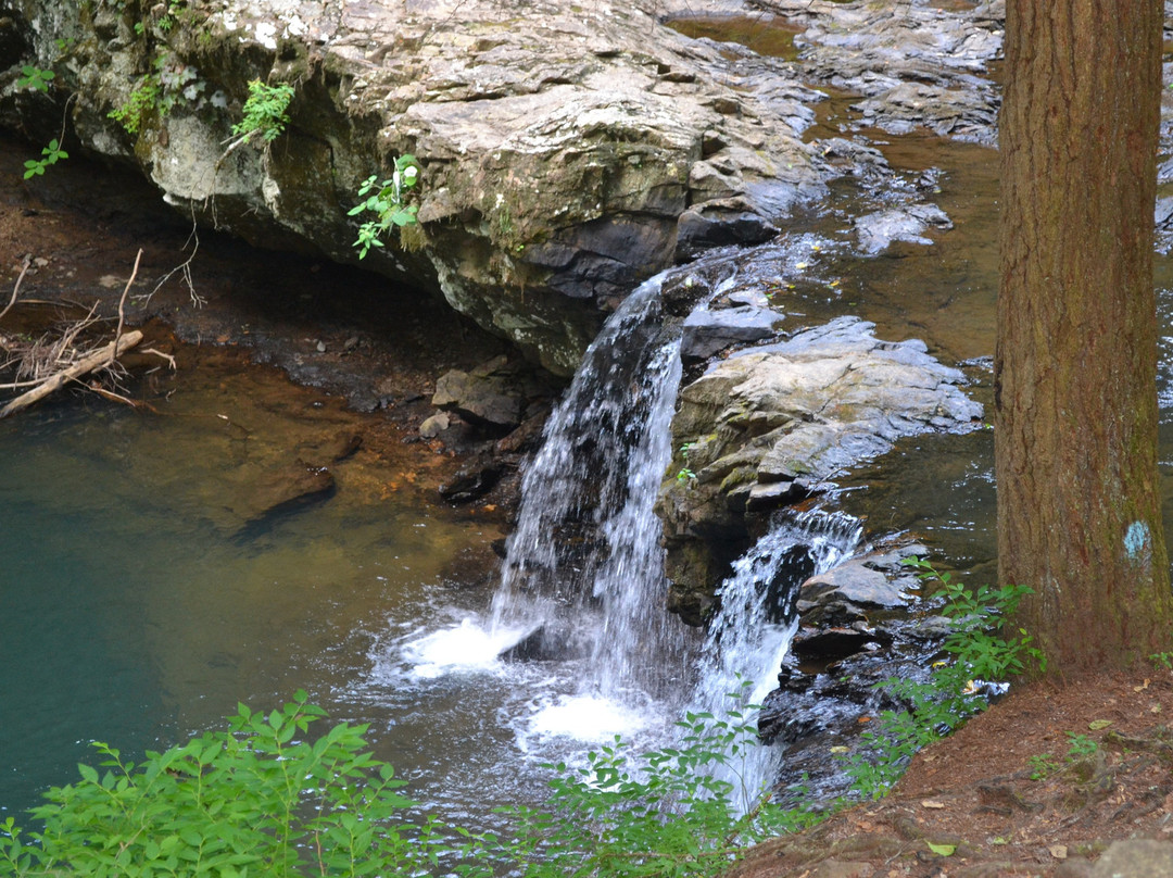 Grundy Forest Natural Area景点图片