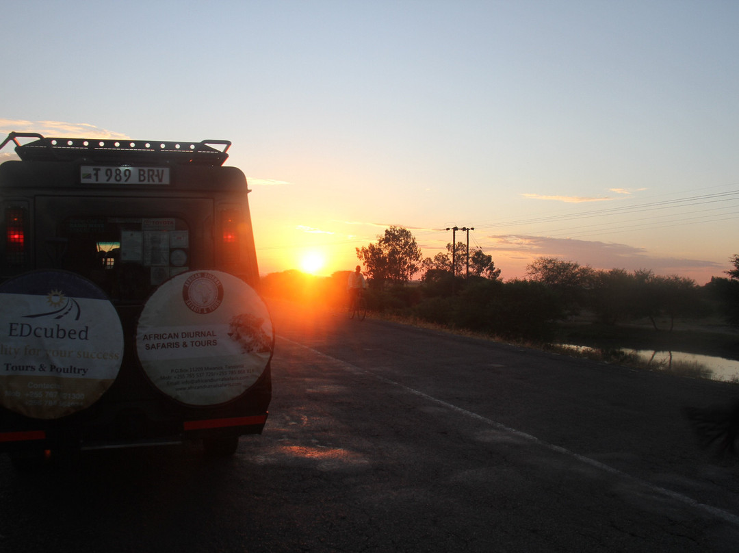 AFRICAN DIURNAL SAFARIS & TOURS-姆万扎必去景点