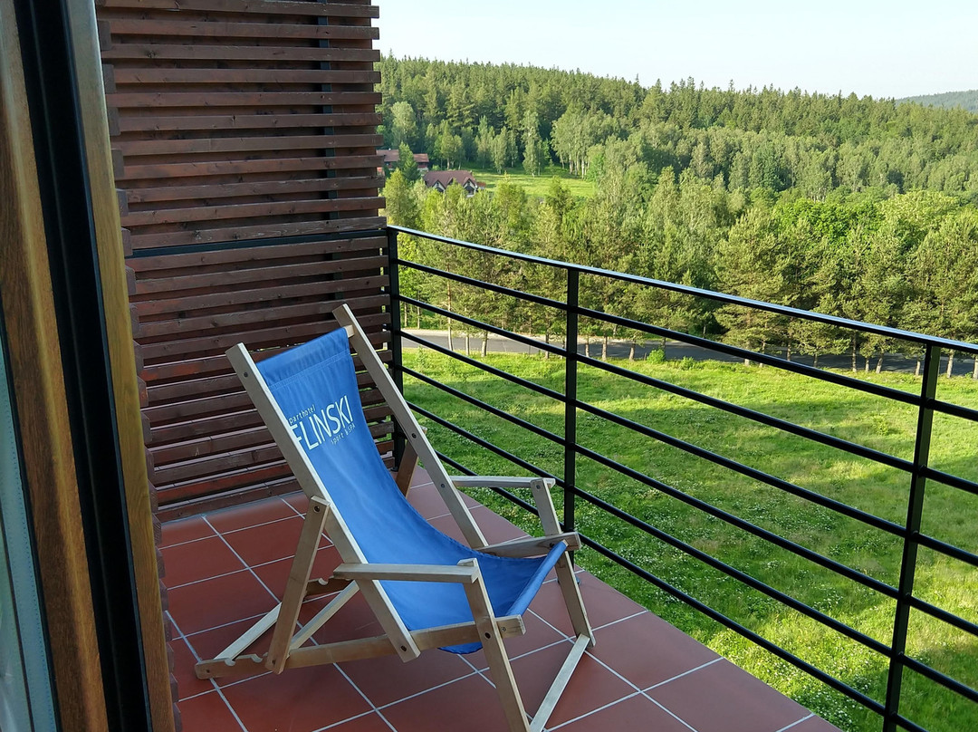 Aparthotel Flinski Sport & Spa主图