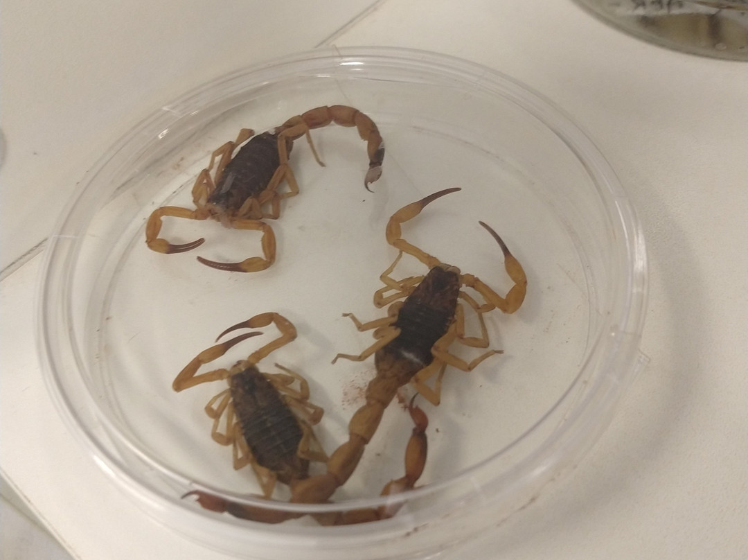 CEVAP unesp-Botucatu必去景点