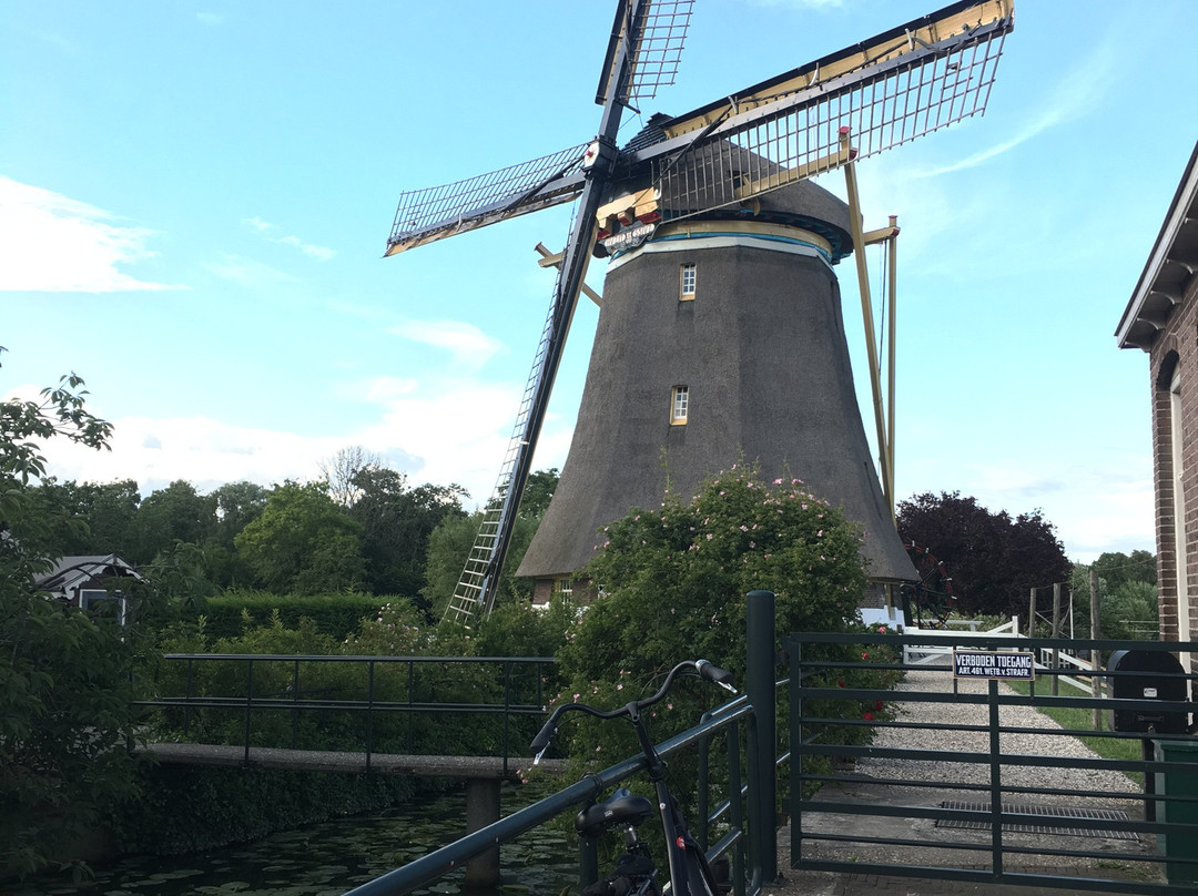 Willemstraatbike-乌特勒支必去景点