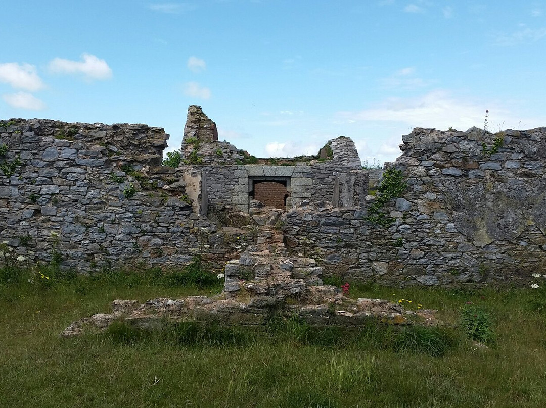 The Wildlife & Forts of Berry Head Trail景点图片