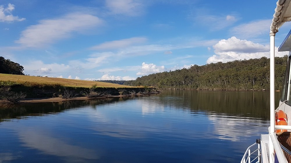 Shoalhaven River Cruise景点图片