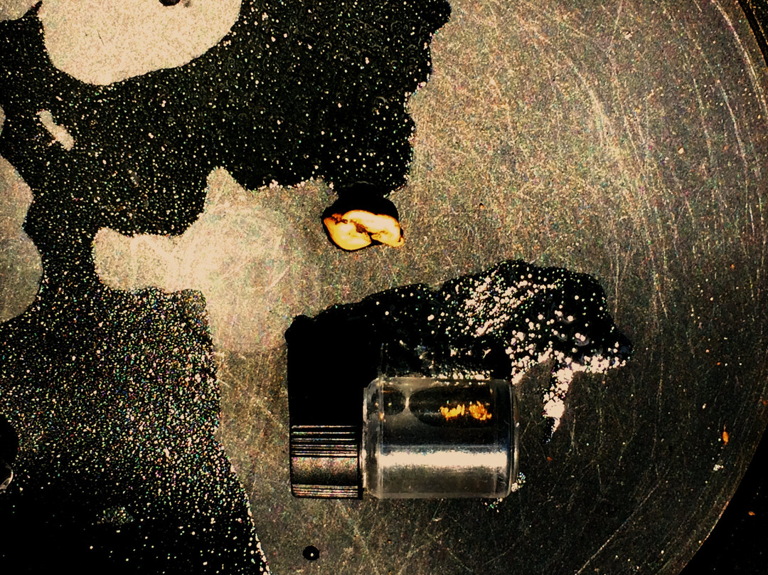 California Gold Panning景点图片