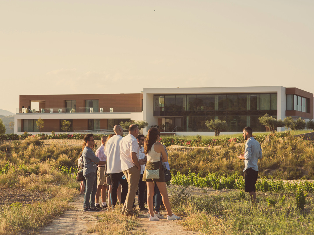 Casa Rojo-Jumilla必去景点