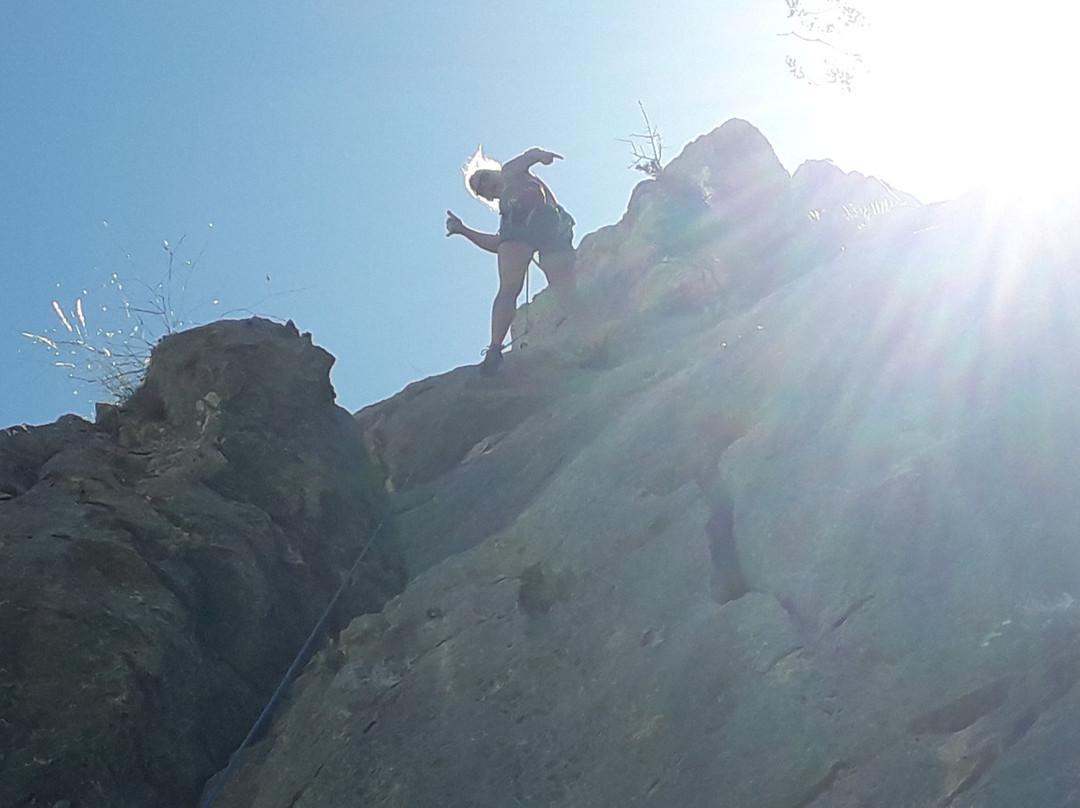 The Olive Branch El Chorro主图