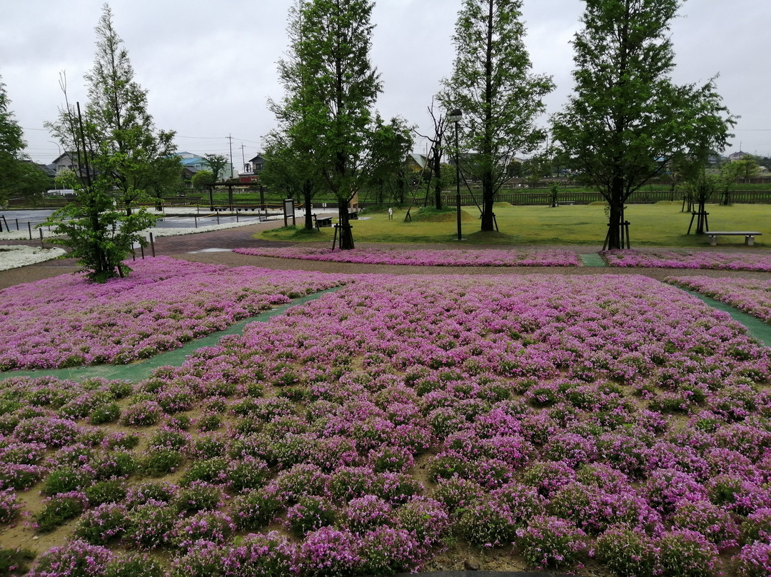 Mitsumata Pond Park-弥富市必去景点