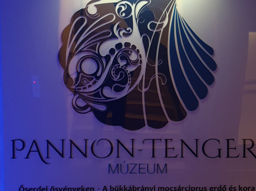 Pannontenger Museum景点图片