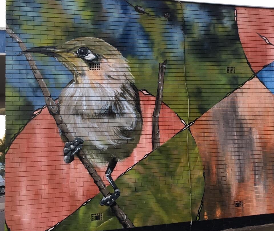 Wandoan Murals景点图片