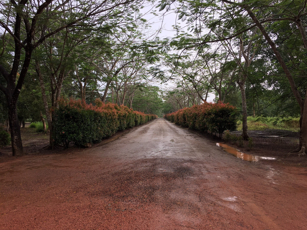 Bangka Botanical Garden (BBG)-Pangkal Pinang必去景点
